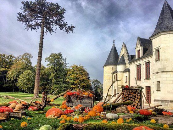 Château de Cangé